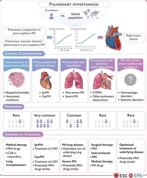 ers european exam preparation